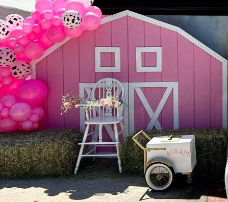Pink Barn Backdrop